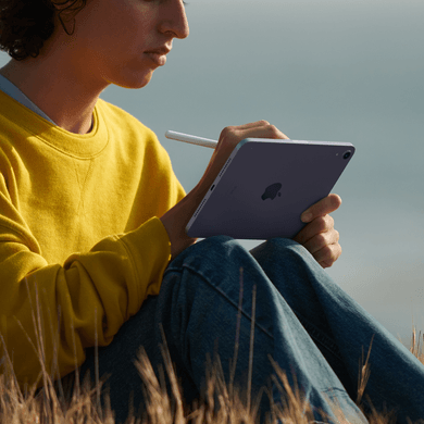 Apple iPad mini 2021 Wi-Fi 64GB Space Grau